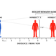 This graphical representation explains the research team’s central hypothesis.